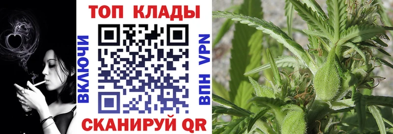 Где можно купить наркотики Щигры МАРИХУАНА  Псилоцибиновые грибы  Амфетамин  Alpha PVP  Бутират  Кокаин  Меф  ГАШИШ 