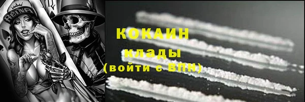 шишки Армянск
