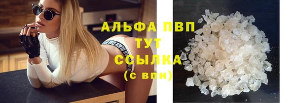 шишки Армянск