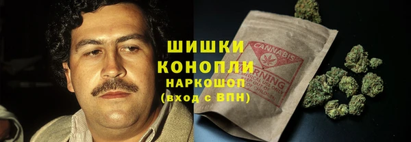 мяу мяу мука Аркадак
