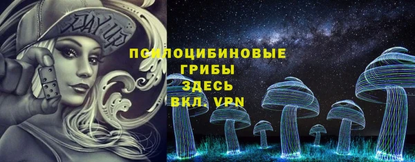 мяу мяу мука Аркадак