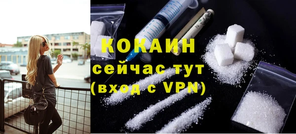 шишки Армянск