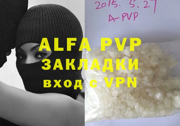 индика Козельск