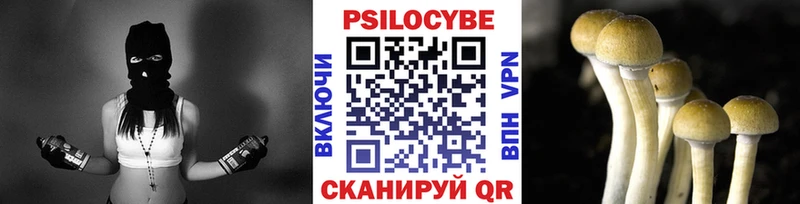 хочу   Щигры  даркнет клад  Галлюциногенные грибы Magic Shrooms  МЕГА ссылки 